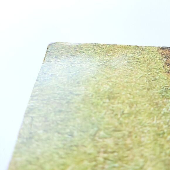 The Sport of Schutzhund a Photographic Essay SIGNED BJ & Peter Spanos 2007 - Picture 14 of 16